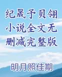 纪宸北小说