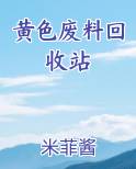 黄色废料指什么